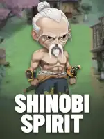 Shinobi Spirit