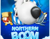 Northern Boom