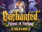 Enchanted: Forest Of Fortune
