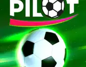 Pilot Cup