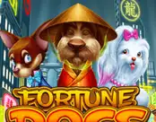 Fortune Dogs