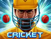Cricket Crash