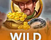 Wild Justice
