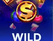 Wild Spin