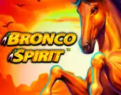 Bronco Spirit