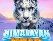 Himalayan Wild
