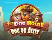 The Dog House - Dog or Alive