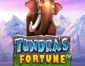 Tundra’s Fortune