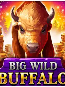 Big Wild Buffalo