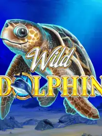 Wild Dolphin