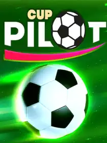 Pilot Cup