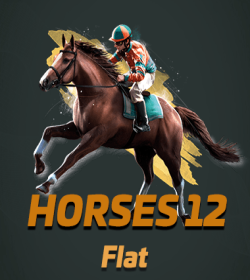 Horses 12 Flat