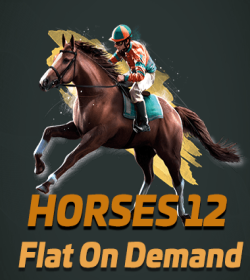 Horses 12 Flat On Demand