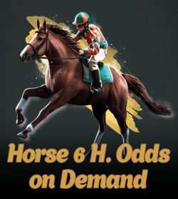 Horses 6 H. Odds On Demand