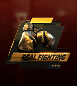 MMA Fighting