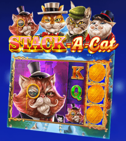 Stack a Cat
