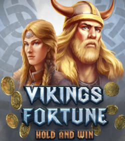Vikings Fortune: Hold and Wins