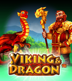Viking & Dragon