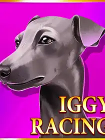 Iggy Racing