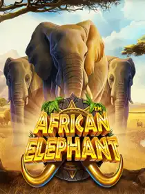 African Elephant
