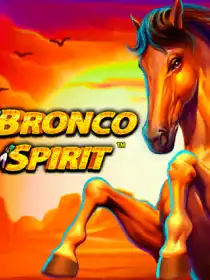 Bronco Spirit