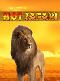 Hot Safari