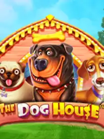 The Dog House