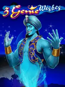 3 Genie Wishes