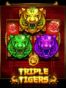 Triple Tigers