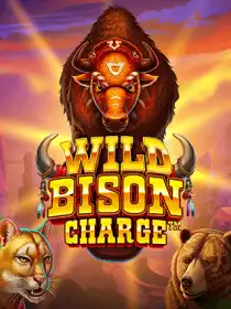 Wild Bison Charge