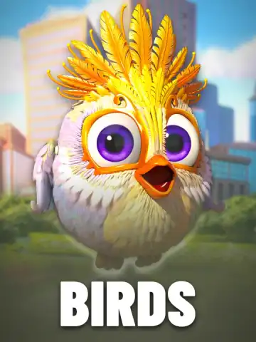 Birds