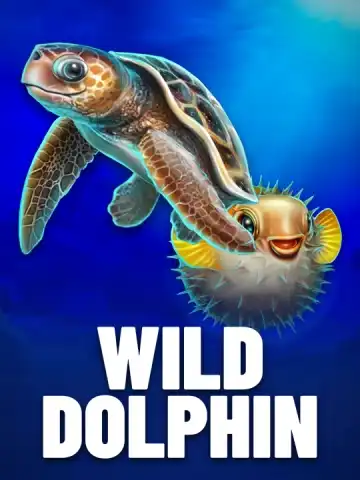 Wild Dolphin