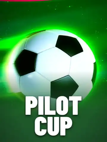 Pilot Cup